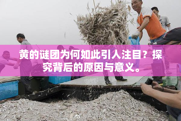 黄的谜团为何如此引人注目？探究背后的原因与意义。