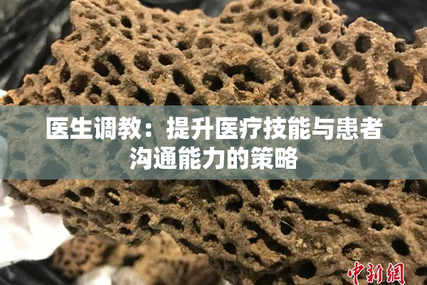 医生调教：提升医疗技能与患者沟通能力的策略