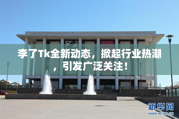 李了Tk全新动态，掀起行业热潮，引发广泛关注！