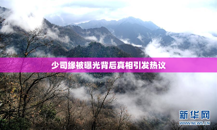 少司缘被曝光背后真相引发热议