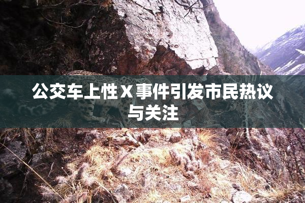 公交车上性Ⅹ事件引发市民热议与关注