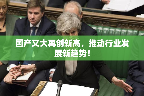 国产又大再创新高，推动行业发展新趋势！