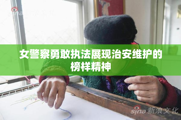 女警察勇敢执法展现治安维护的榜样精神