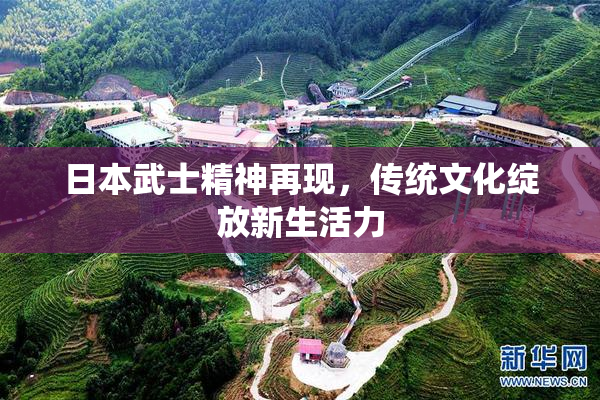 日本武士精神再现，传统文化绽放新生活力