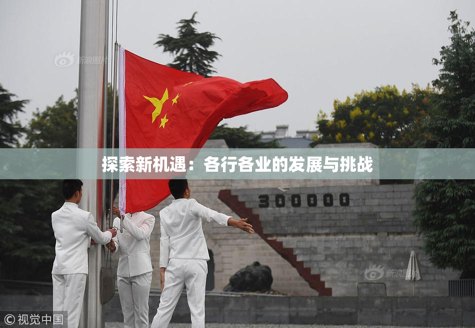 探索新机遇：各行各业的发展与挑战