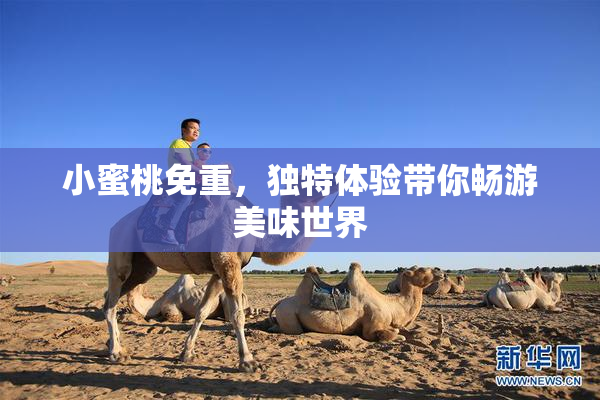 小蜜桃免重，独特体验带你畅游美味世界