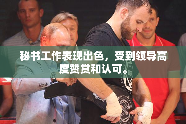 秘书工作表现出色，受到领导高度赞赏和认可。