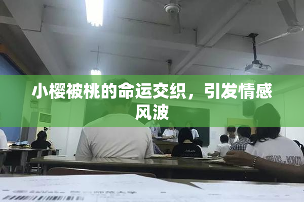 小樱被桃的命运交织，引发情感风波