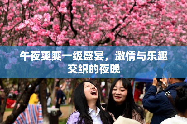 午夜爽爽一级盛宴，激情与乐趣交织的夜晚