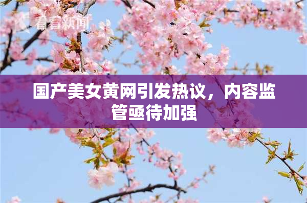 国产美女黄网引发热议，内容监管亟待加强
