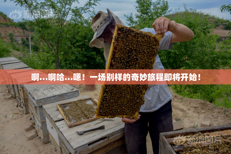 啊…啊哈…嗯！一场别样的奇妙旅程即将开始！