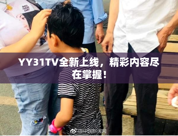 YY31TV全新上线，精彩内容尽在掌握！