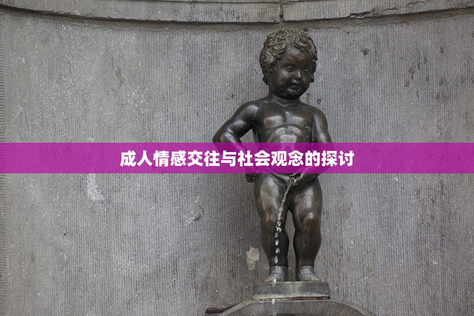 成人情感交往与社会观念的探讨