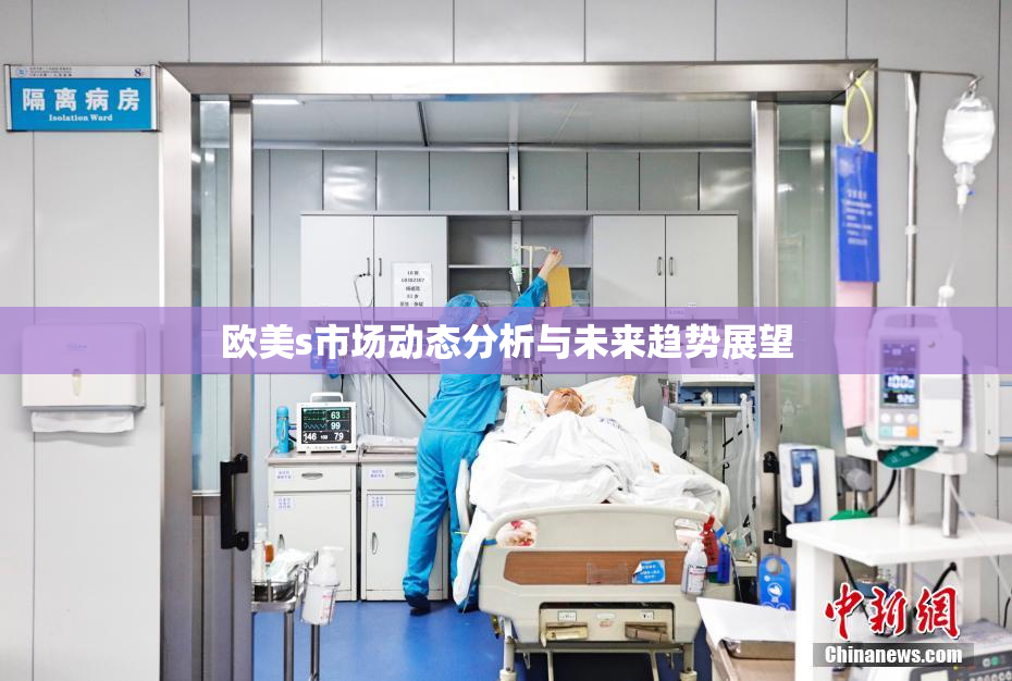 欧美s市场动态分析与未来趋势展望