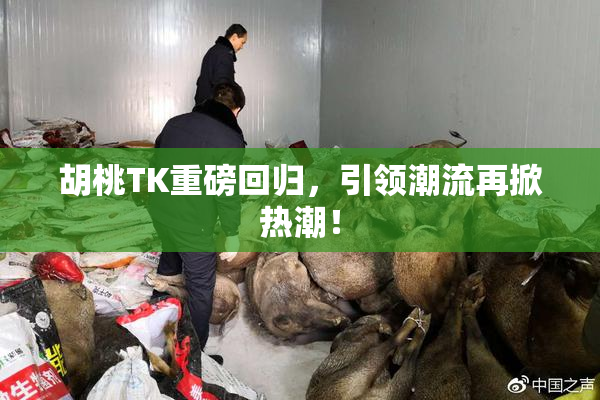 胡桃TK重磅回归，引领潮流再掀热潮！