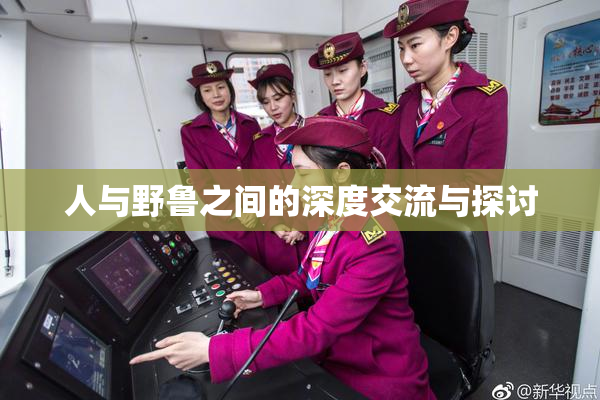 人与野鲁之间的深度交流与探讨