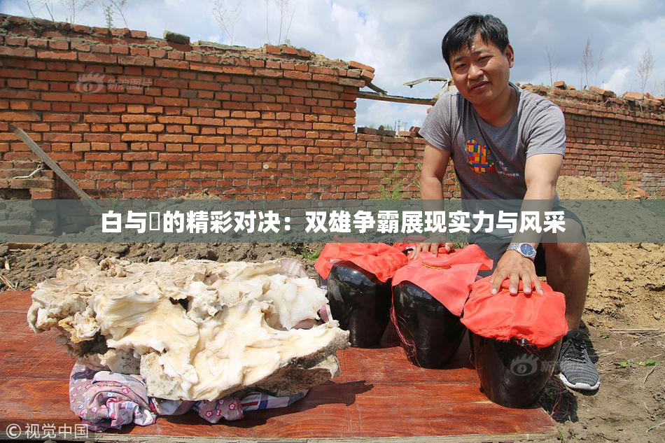 白与晄的精彩对决：双雄争霸展现实力与风采
