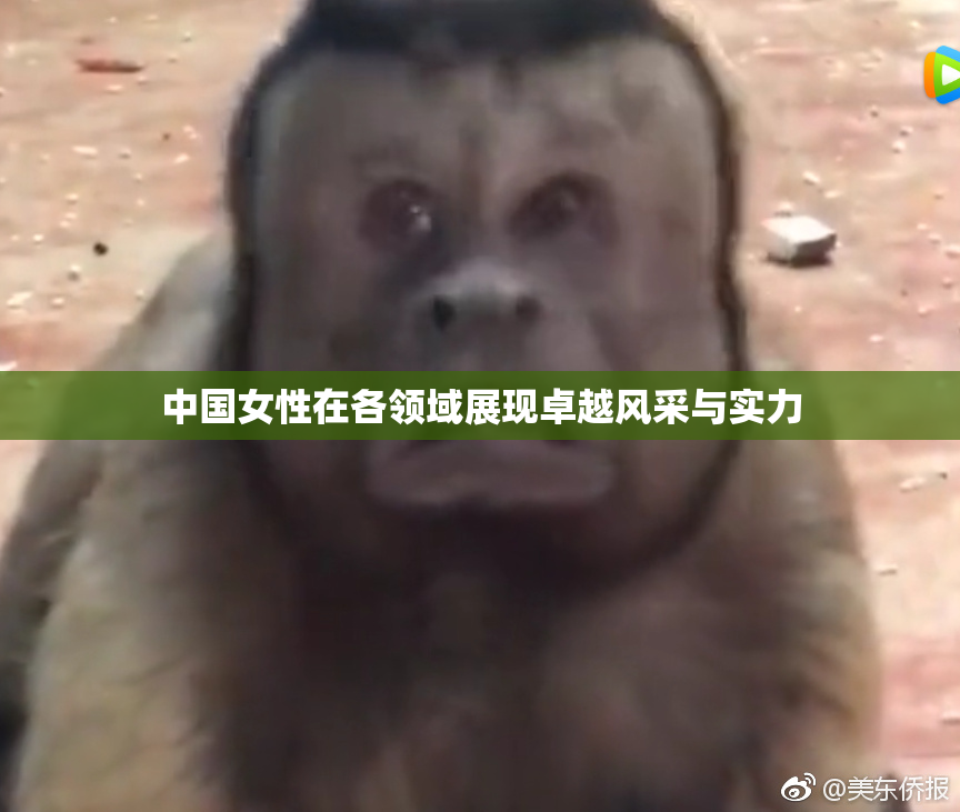 中国女性在各领域展现卓越风采与实力