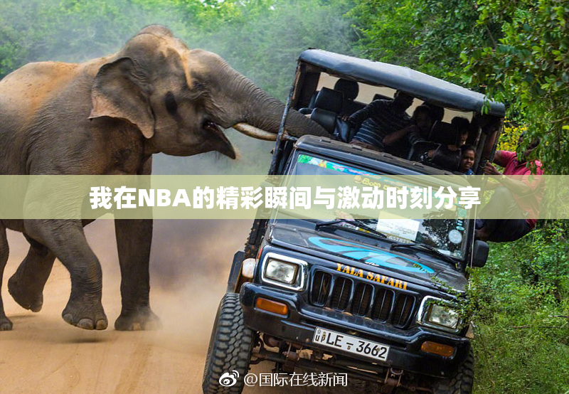 我在NBA的精彩瞬间与激动时刻分享