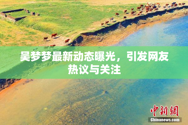 吴梦梦最新动态曝光，引发网友热议与关注