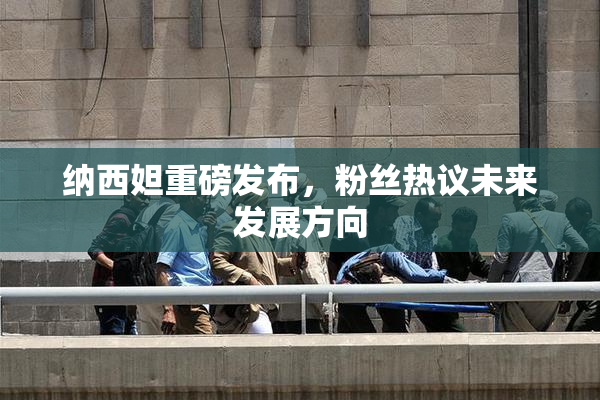 纳西妲重磅发布，粉丝热议未来发展方向