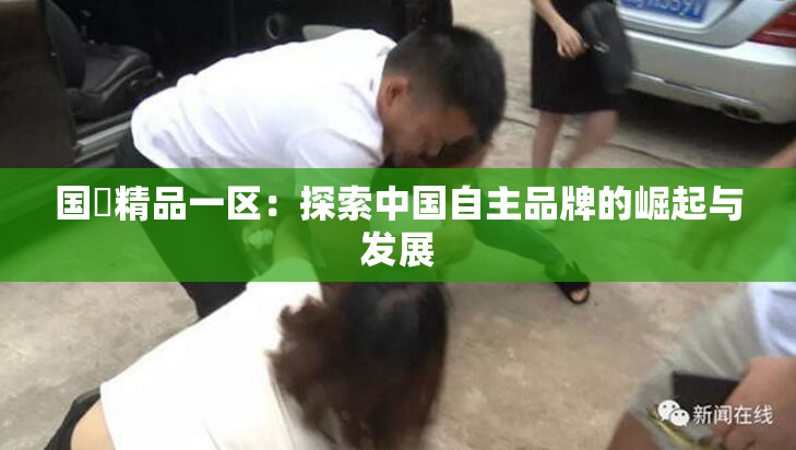 国產精品一区：探索中国自主品牌的崛起与发展