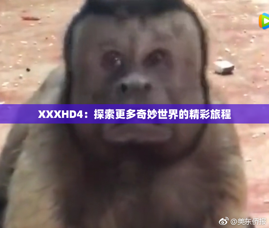 XXXHD4：探索更多奇妙世界的精彩旅程
