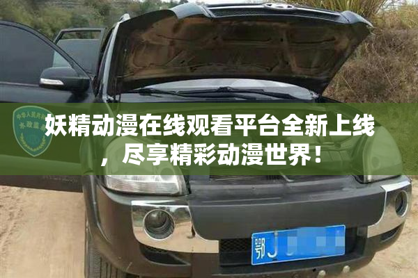 妖精动漫在线观看平台全新上线，尽享精彩动漫世界！