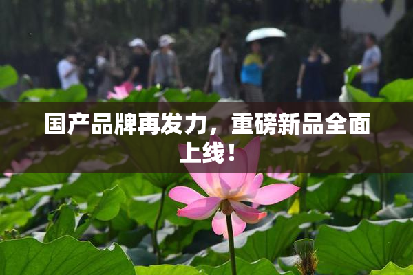 国产品牌再发力，重磅新品全面上线！