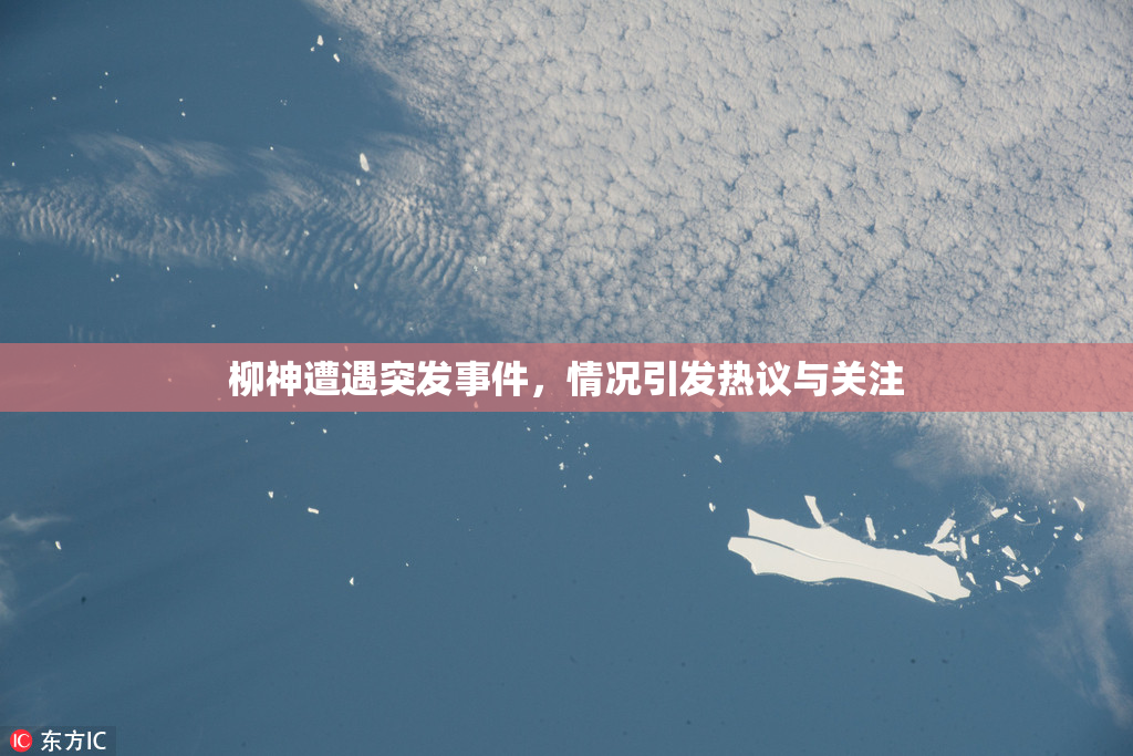 柳神遭遇突发事件，情况引发热议与关注