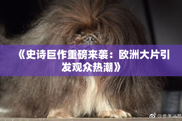 《史诗巨作重磅来袭：欧洲大片引发观众热潮》