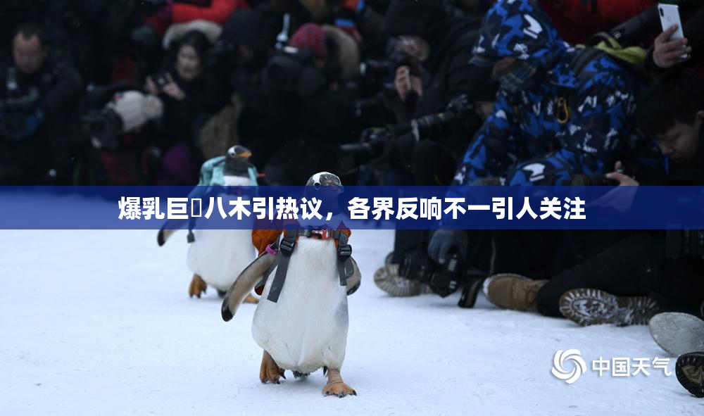爆乳巨凥八木引热议，各界反响不一引人关注
