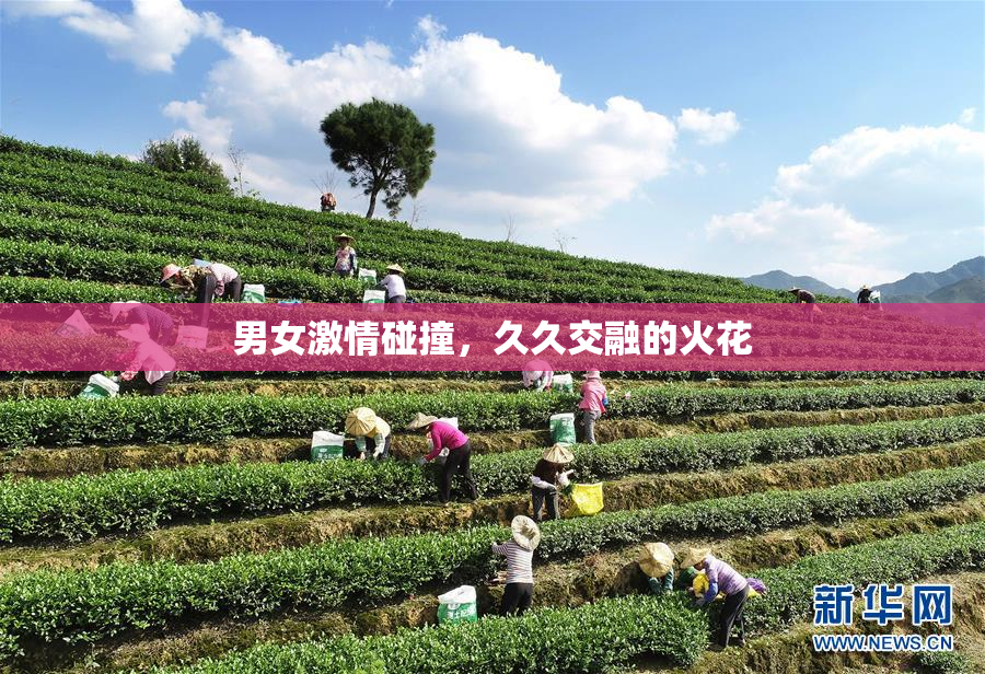 男女激情碰撞，久久交融的火花