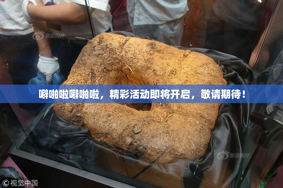 噼啪啦噼啪啦，精彩活动即将开启，敬请期待！