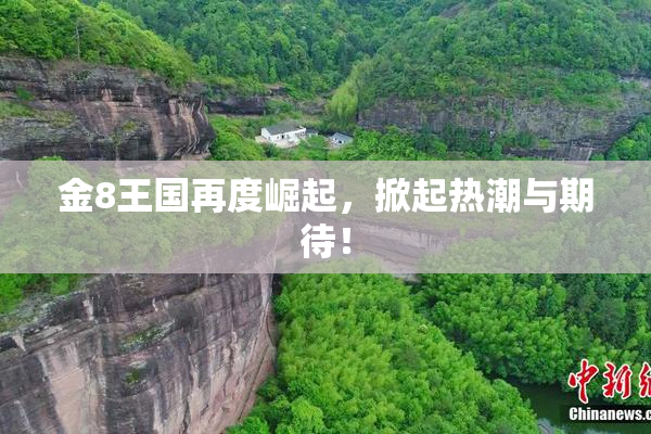 金8王国再度崛起，掀起热潮与期待！