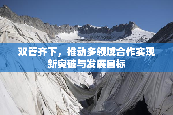 双管齐下，推动多领域合作实现新突破与发展目标