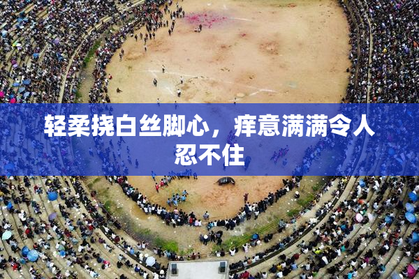 轻柔挠白丝脚心，痒意满满令人忍不住