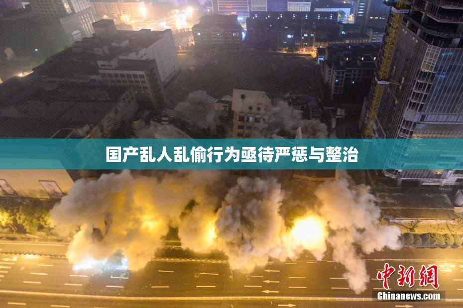 国产乱人乱偷行为亟待严惩与整治
