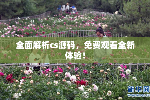 全面解析cs源码，免费观看全新体验！