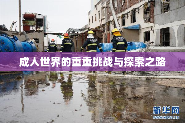 成人世界的重重挑战与探索之路