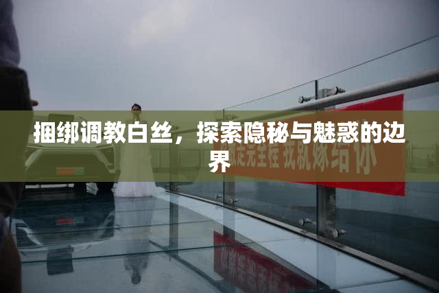 捆绑调教白丝，探索隐秘与魅惑的边界