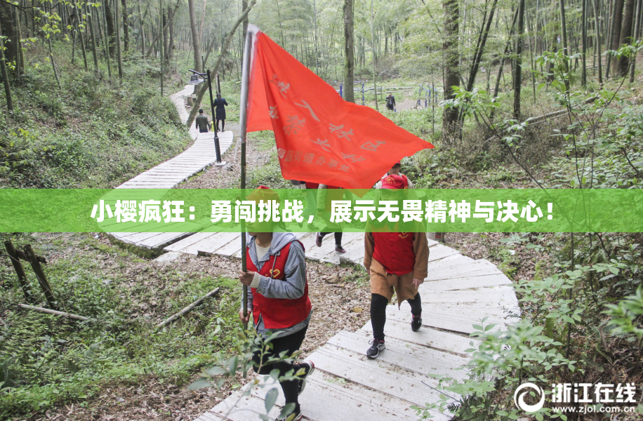 小樱疯狂：勇闯挑战，展示无畏精神与决心！