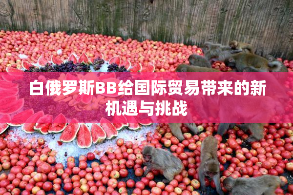 白俄罗斯BB给国际贸易带来的新机遇与挑战