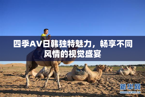 四季AV日韩独特魅力，畅享不同风情的视觉盛宴