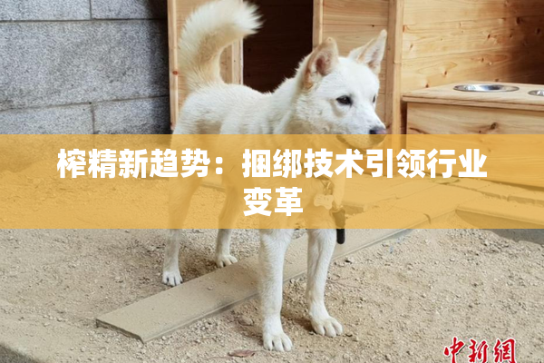 榨精新趋势：捆绑技术引领行业变革