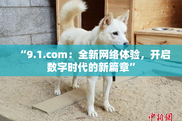 “9.1.com：全新网络体验，开启数字时代的新篇章”