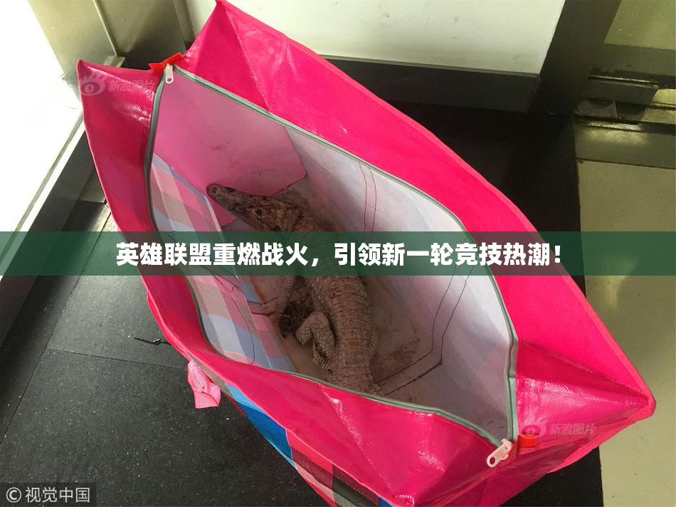 英雄联盟重燃战火，引领新一轮竞技热潮！