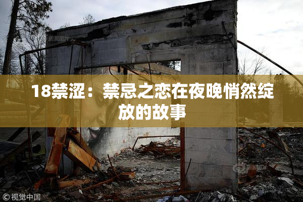 18禁涩：禁忌之恋在夜晚悄然绽放的故事