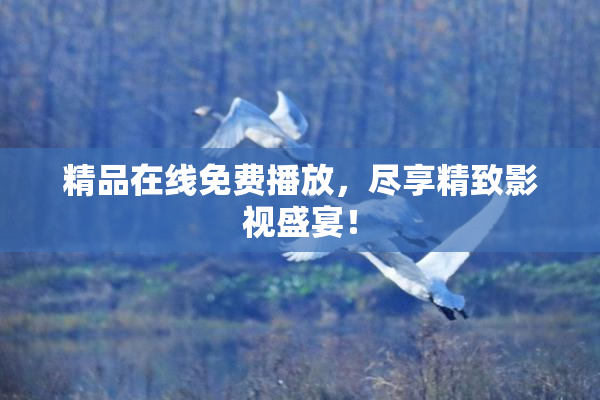 精品在线免费播放，尽享精致影视盛宴！