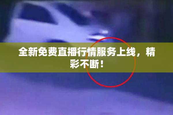 全新免费直播行情服务上线，精彩不断！